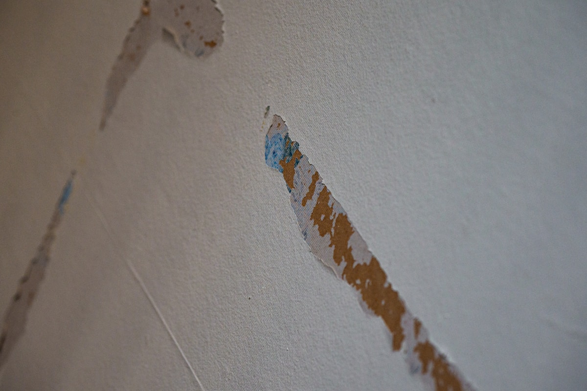 Sewage Cleanup service in Long Beach, CA